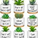 Domensi 9 Pcs Funny Succulent Pots Cute Aloe Cactus Planter with Bamboo Tray Ceramic Accessories White Mini Flower Drainage Tray Pots Indoor Outdoor Plants Birthday Gifts Housewarming Women Coworker
