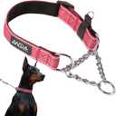 ANDA Martingale Collar for Dogs, Adjustable with Reflective Stainless Steel Chain, No-Pull Escape-Proof Training Collar for Medium and Large Breeds (Red, Large)