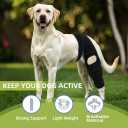 Dog Leg Braces for Back Leg- Dog ACL Brace for Torn and Back Hind Rear Legs ACL Tear, Dog Leg Brace for Hip Dysplasia, Dog Arthritis, Luxating Patella(Size XL)