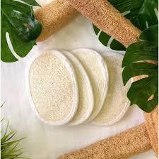 Natural Loofah Sponge