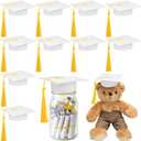 Foilswirl 12 Pcs Mini Graduation Cap with Tassel Mini Plush Mason Jar Small Animal Bachelor Hat Photo Prop Party Supply