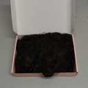 REECHO Curly Hair Extensions, 4PCS 16 inch Clip in Hair Extensions Lace Weft Short Curly Clip Ins Invisible Natural Hairpieces for Women, Dark Brown