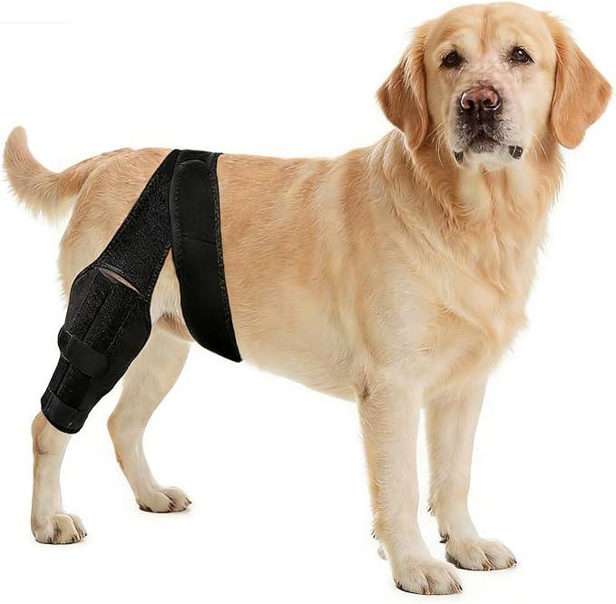 Pawfun Dog Knee Brace for Torn ACL Hind Leg, Adjustable Dog Leg Braces for Back Leg with 4 Metal Stabilizers Helps with Torn CCL, Luxating Patella, Ligament Injuries, Hip Dysplasia XXL