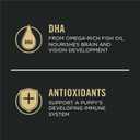 Purina Pro Plan High Protein Dry Puppy Food, Chicken and Rice Formula - 6 lb. Bag (EXP 04/01/26)