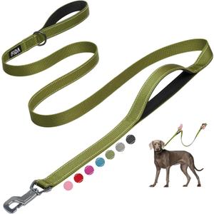 Fida 6 FT Heavy Duty Dog Leash with 2 Comfortable Padded Handles, Traffic Handle & Advanced Easy Snap Hook, Reflective Walking Lead for Large, Medium & Small Breed, Green (6 Feet (Pack of 1))