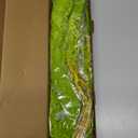 15Pcs Neon Green Preserved Hanging Amaranthus Flowers - 23" Cascading Dried Flower Tassels for Wedding Arch, Backdrop Installations, Vase Arrangements & Home Decor