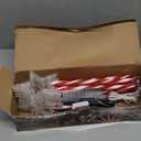 10 Pack Christmas Decorations Outdoor Solar Candy Lights, Multicolor Solar Lights with USB Charge, 10 Modes Waterproof Lights with 150 LEDs, Outdoor Christmas Decoration for Yard Path