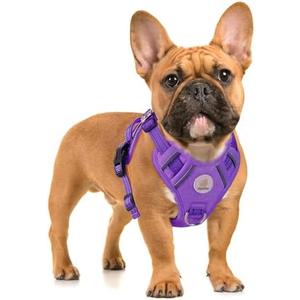 Hipubby Dog Harness Small Sized Dog, No Pull Pet Harness with 2 Metal Rings and Control Handle, Adjustable Soft Dog Vest with Reflective Strips, Easy Walking and Training for Small Dogs, Purple, XS
