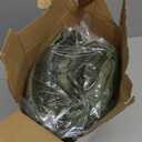 Homemate Electric Heated Blanket Twin  62"x84" Heating Bed Blankets Throw with 10 Heating Levels 8 Hours Auto Off Fast Heating OverHeated Protection Ultra Soft Warm Flannel ETL Certified Green