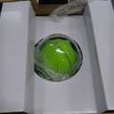 Proctor Silex Electric Citrus Juicer Machine, 34 oz., for Orange, Lemon, Grapefruit Juice, White & Green (66337)