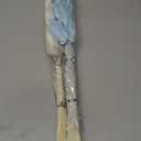 CISDUEO 120pcs Dried Bunny Tails Flowers Lagurus Ovatus Tail Dried Flowers Pampas Grass White and Blue 17" Natural Dried Floral Arrangement for Boho Decor Home Wedding DIY Farmhouse Table Christmas