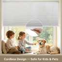 No Drill No Tools Blackout Cellular Shades,Cordless Blinds for Indoor Windows,Room Darkening Window Shades Honeycomb Blinds for Bedroom,Office,Home,White,45.5" w x 48" h