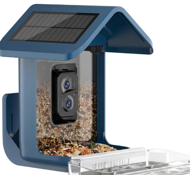 Hummingbird Feeder with Camera Solar Powered-Blue
