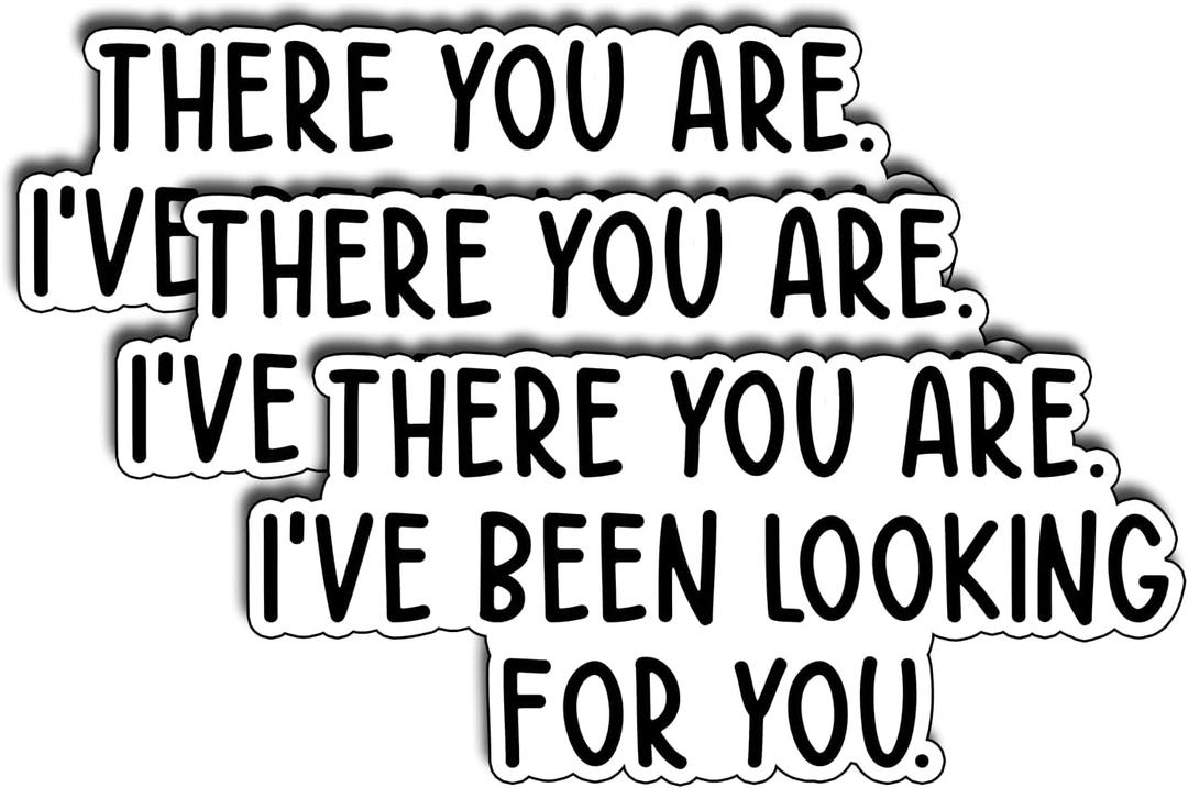 (3Pcs) There You are I've Been Looking for You Stickers Funny Quote Humor Motivational Inspirational Gifts Waterproof Vinyl Decals for Kindle Water Bottle Bumper Car Hard Hat Phone Laptop - 3x1.5