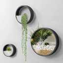 Metal Wall Planter,Round Hanging Wall Vase Planters for Succulents |Flower Pot Wall Planters for Plants,Succulent Plants, Small Cactus and More,Home Wall Decor |Black Color | in Gift Box 3 Pcs