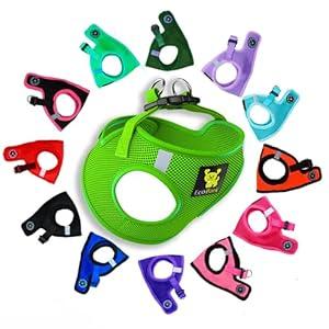 EcoBark Step in Dog Harness - Eco-Friendly Teacup Dog Harnesses for XXS, XS, and Small Dogs - Reflective and Adjustable Mini Body Halter Vest -Tiny Soft Mesh Toy Breed Harness (Green, XXXS)