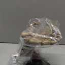 Ebros Gift Gothic Valentine Rose Skeletal Hands Skeleton Grasp of The Dead Jewelry Tree Holder Figurine Holds Many Rings Necklaces Accessories Skeletons Skulls Boudoir Decor Halloween Statue