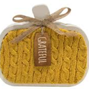 HH 6.6in Table Decor Pumpkin Sweatr