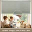 Changshade No Drill No Tools Light Filtering Cellular Shades,Cordless Blinds for Indoor Windows,Window Shades Honeycomb Blinds for Bedroom,Office,Home,36" w x 64" h,Grey