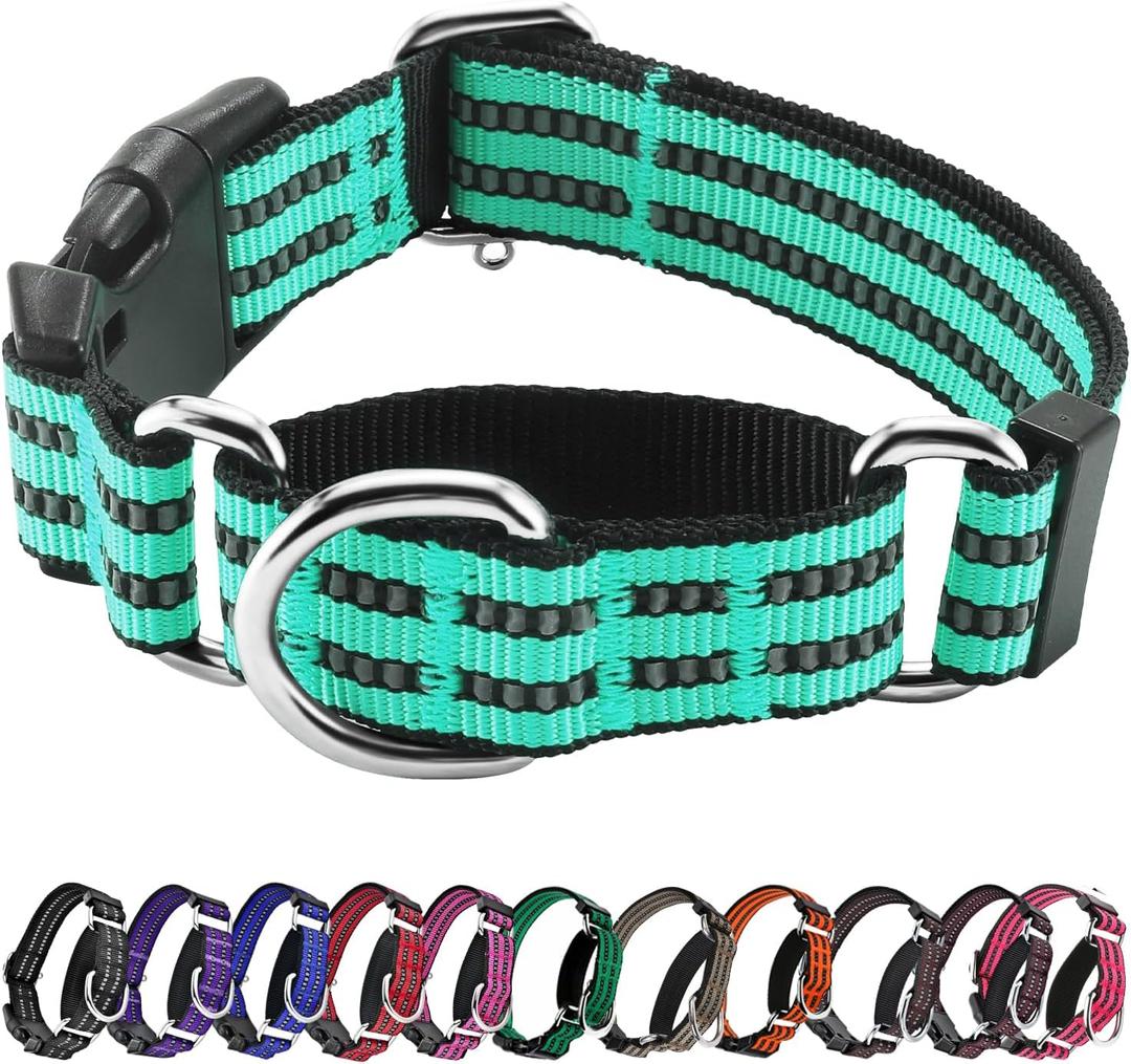 Hikiko Martingale Dog Collars Reflective Nylon Dog Collar with Quick Release Buckle Adjustable Training No Slip Dog Collar (Small, Turquoise)