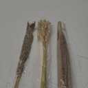 130PCS Natural Dried Pampas Grass Boho Home Decor Bouquet Phragmites Dried Flowers Bouquet for Wedding Floral Arrangements Home Decorations (130PCS)