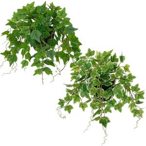 Hollyone Artificial English Ivy Hanging Plants 2pcs Faux Ivy Vines with Black Pot Small Fake Potted Greenery Plant for Indoor Home Aesthetic Living Room Bathroom Desk Shelf Office Decor