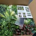 ODTORY Artificial Plant Wall Panels: 20"20" 8P UV-Anti Faux Grass Wall Backdrop Boxwood Ivy Fence Privacy Screen Fake Greenery Leaf Hedge for Outdoor,Indoor,Garden,Backyard and Home Decor