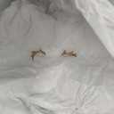 Hallmark Keepsake Christmas Ornament 2025, Rocking Reindeer 2025, Gifts for Keepsake Fans