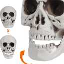 Skull Ornaments 6Pcs Plastic Halloween Skull Heads 4.33 Inch Ghost House Decoration Lightweight Halloween Party Props