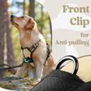 rabbitgoo Dog Harness Medium Sized, No Pull Pet Harness with 3 Buckles, Adjustable Soft Padded Vest with Control Handle, Walking Reflective Pet Vest for Medium Dogs, Beige, M
