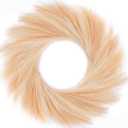 Rowfad Faux Pampas Grass Wreath, 26'' for Front Door, Boho Farmhouse Decor, DIY Fall Autumn Wreath (Beige and Brown)