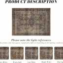 Area Rug 69, Large Vintage Boho Rug,Ultra-Soft Low Pile, Washable, Non Slip,Stain Resistant, Printed Carpet for Living Room Bedrooms Playroom Office Kitchen,Oat/Antiquity