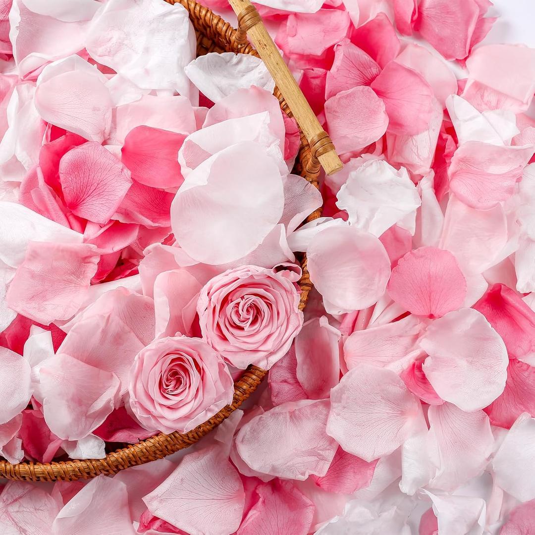 300 PCS Real Pink White Rose Flower Petals Confetti for Wedding Flower Girl to Throw, 2.82oz Freeze Dried Rose Petal for Proposal Centerpieces Romantic Night Decor