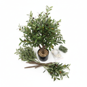 Nearly Natural 4-FT Artificial Fruiting Olive Tree with 280 Warm White LED Lights, Faux Olive Tree Indoor Home Décor, Pre-lit with Lifelike Fruits and Sturdy Base Stand