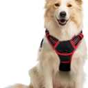 Rabbitgoo Dog Harness No Pull with 2 Leash Clips, Adjustable Soft Padded, Reflective Oxford No Choke Pet Vest with Easy Control Handle for Medium Sized Dogs, Black & Red, M