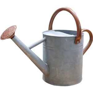 Metal Watering Can 1 Gallon for Outdoor Garden Plants, Zinc Watering Cans Stainless Steel Handhold with Removable Spout,Galvanized Watering Can for Patio, and Houseplants