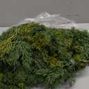 6 Ft Cedar Christmas Garland with Lights for Mantle - Realistic Real Touch Faux Artificial Pine Garlands for Outdoor Stairs Railing Fireplace Decoration Garland Door Decor NEW-2SHLXS-6FT