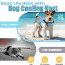 DENTRUN Dog Cooling Vest with Dual Absorbent Core & Reflective Safety | sun protection, adjustable fit, evaporative cooling, lightweight,  for all breeds, hiking summer essential, M