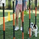 Certified Compostable Dog Poop Bags, 270 Count Landfill Friendly and Leakproof Waste Bags, Easy Open Unscented Forest Green Poop Bag for Dog, 15 Doggy Bags Per Roll (18 rolls)