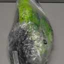 Mueller UltraStorm Leaf Blower Cordless Electric, with 2 Batteries and Charger, 140 MPH 20 V Powerful Motor, 2 Speed Levels, 1hr Charge, Lightweight, Blowers for Lawn Care, Blower for Snow (Green)