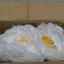 DII Beautiful Peony Flower Napkin Rings White, 4 Piece