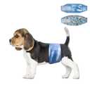 Disposable Male Dog Diapers Wraps XS 24