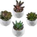 MyGift Miniature Artificial Succulents, Indoor Fake House Plants in Round White Geometric Ceramic Pots, Set of 4