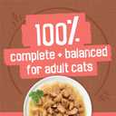 Purina Friskies Extra Gravy Wet Cat Food Chunky 24ct Variety Pack (With Chicken, Turkey, Salmon, Beef) - (Pack of 24) 5.5 oz. Cans (EXP 03/01/27)