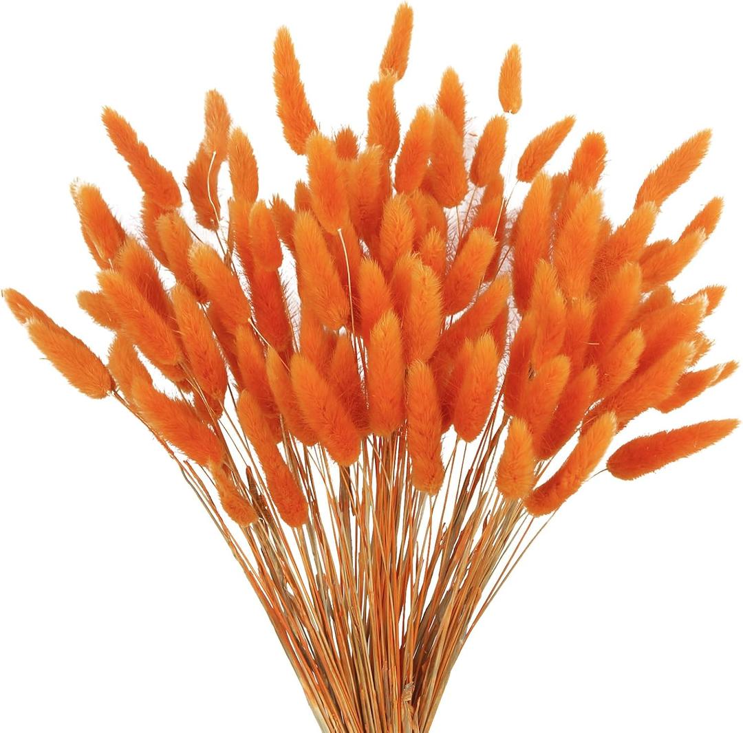 120pcs Dried Rabbit Tail Flowers Orange Tail Dried Flowers Pampas Grass Natural Dried Flower Arrangement Autumn Decoration Wedding DIY Farmhouse Christmas Halloween Family Table Decoration