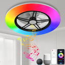 BAYSQUIRREL Alexa WiFi Low Profile Ceiling Fan with Light Flush Mount Enclosed Ceiling Fan 22" LED Dimmable Bladeless Ceiling Fans with Google Assistant/App Control,6 Speed Dimmable LED-RGB Lights