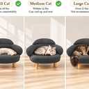 Kitten Gray Cat Sofa Bed, Pet Couch with Pine Wood Legs