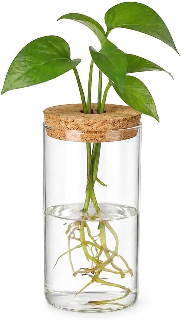 HOMSFOU Plant Propagation Stations, Glass Hydroponic Vase with Cork Lid, Terrarium Jar for Propagating Hydroponic, Plant Growing, Home & Office Decor