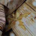 10x10ft Christmas Backdrops for Photography Christmas Photo Backdrop Winter Holiday Backdrop F-25