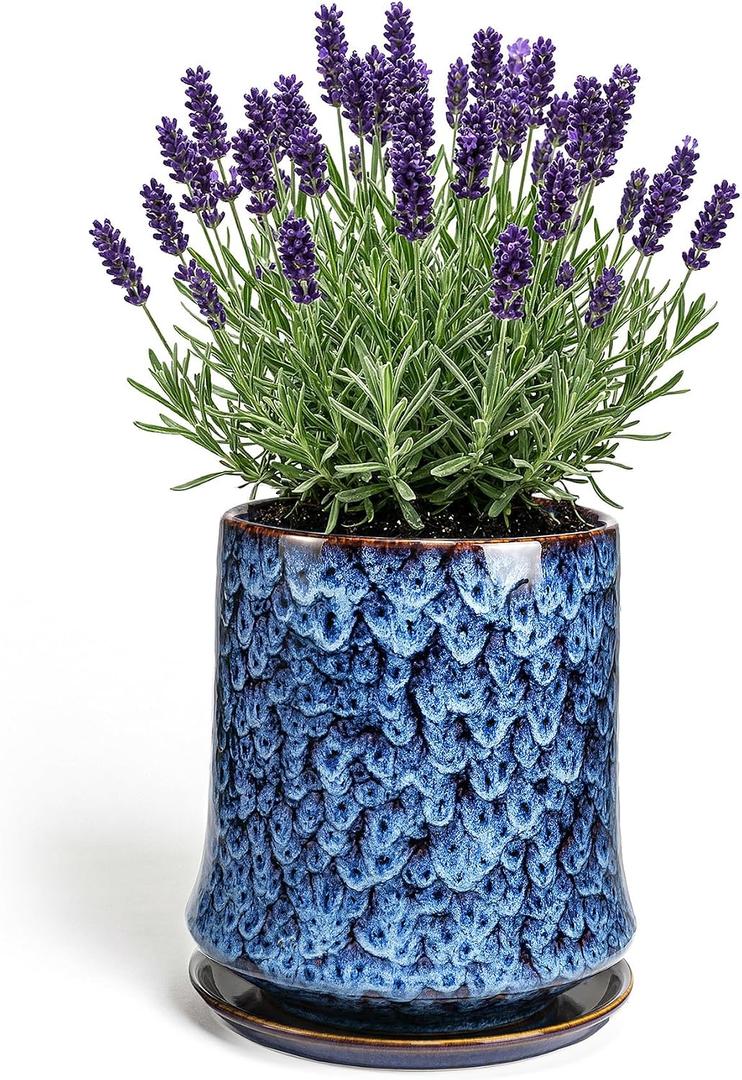 8 Inch Ceramic Planter Pot with Saucer Drainage Leak-Proof Mesh,Flower Pots for Lavender with Gardening Gloves,Ceramic Planter for Orchid(Peacock-Blue)